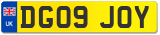 DG09 JOY