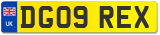 DG09 REX