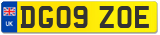 DG09 ZOE