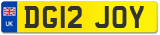 DG12 JOY