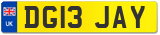 DG13 JAY