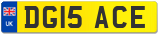 DG15 ACE