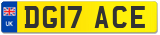 DG17 ACE