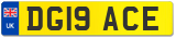 DG19 ACE