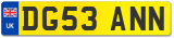 DG53 ANN