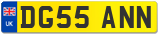 DG55 ANN