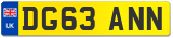 DG63 ANN