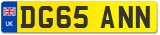 DG65 ANN