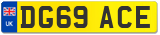 DG69 ACE