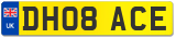 DH08 ACE