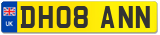 DH08 ANN