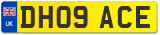 DH09 ACE