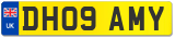 DH09 AMY
