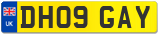 DH09 GAY