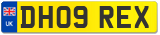 DH09 REX