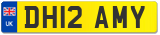 DH12 AMY