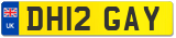 DH12 GAY