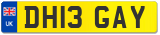 DH13 GAY