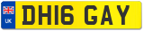 DH16 GAY