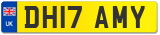 DH17 AMY