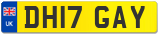 DH17 GAY