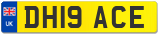 DH19 ACE