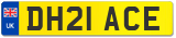 DH21 ACE