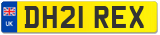 DH21 REX