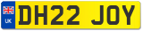 DH22 JOY