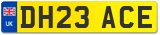 DH23 ACE