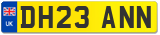 DH23 ANN