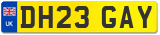 DH23 GAY