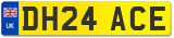 DH24 ACE