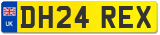 DH24 REX