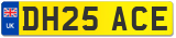 DH25 ACE