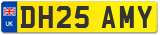 DH25 AMY