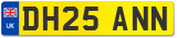 DH25 ANN