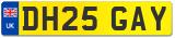 DH25 GAY