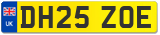 DH25 ZOE