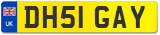 DH51 GAY