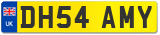 DH54 AMY