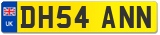 DH54 ANN