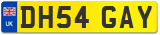 DH54 GAY