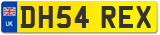 DH54 REX