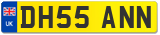 DH55 ANN