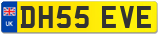 DH55 EVE