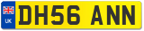 DH56 ANN