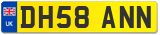 DH58 ANN