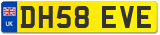 DH58 EVE