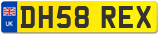 DH58 REX